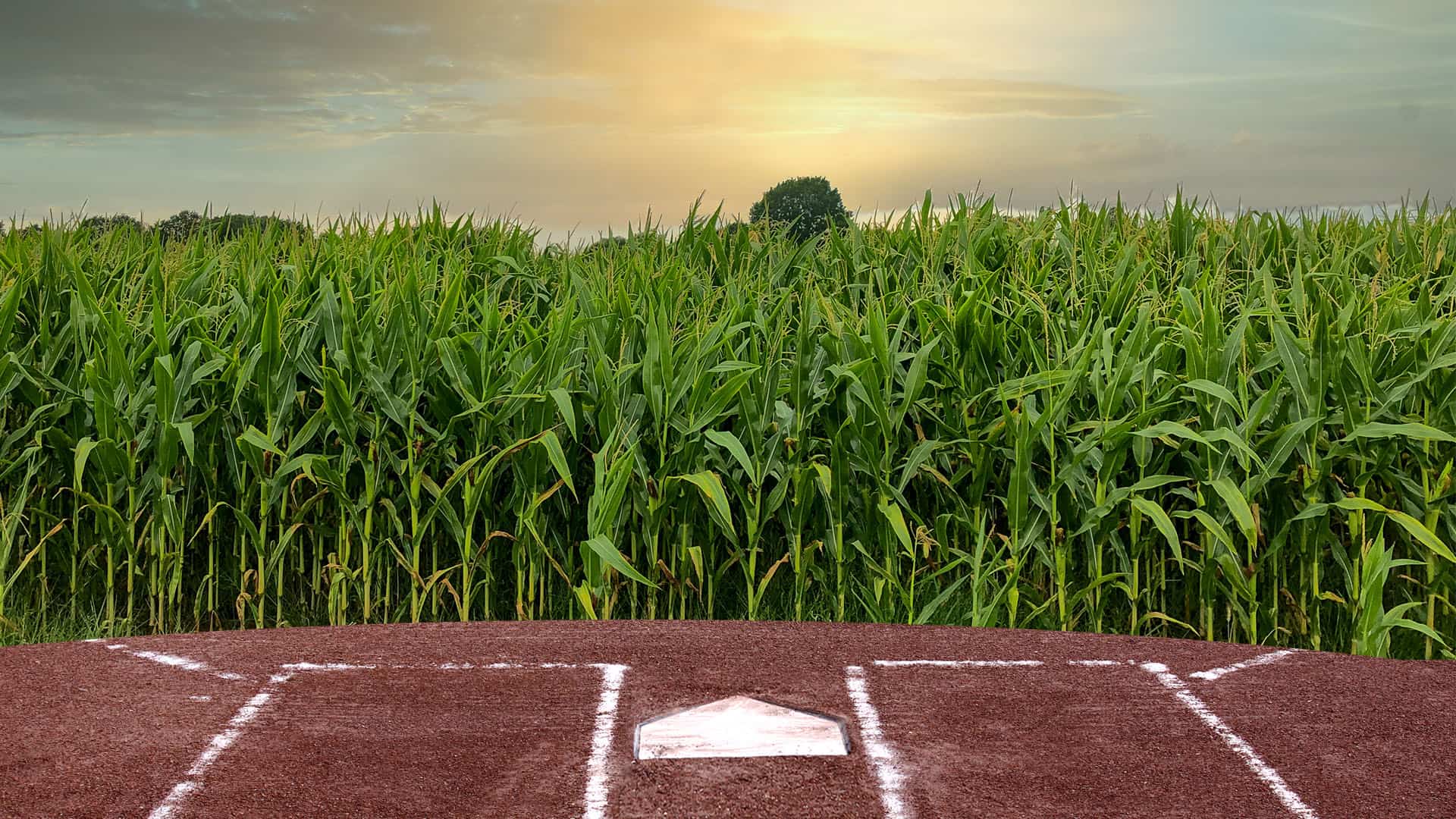 President’s Letter: A Field of Dreams