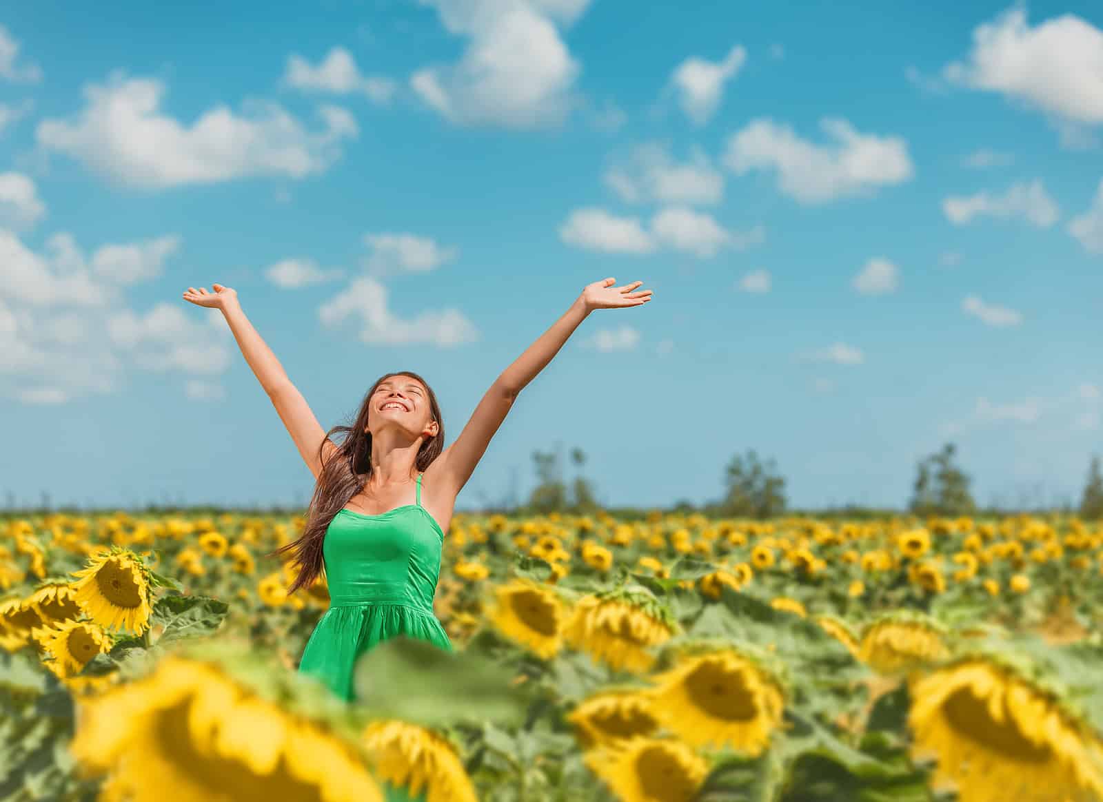 President’s Letter: Dancing in the Flowers